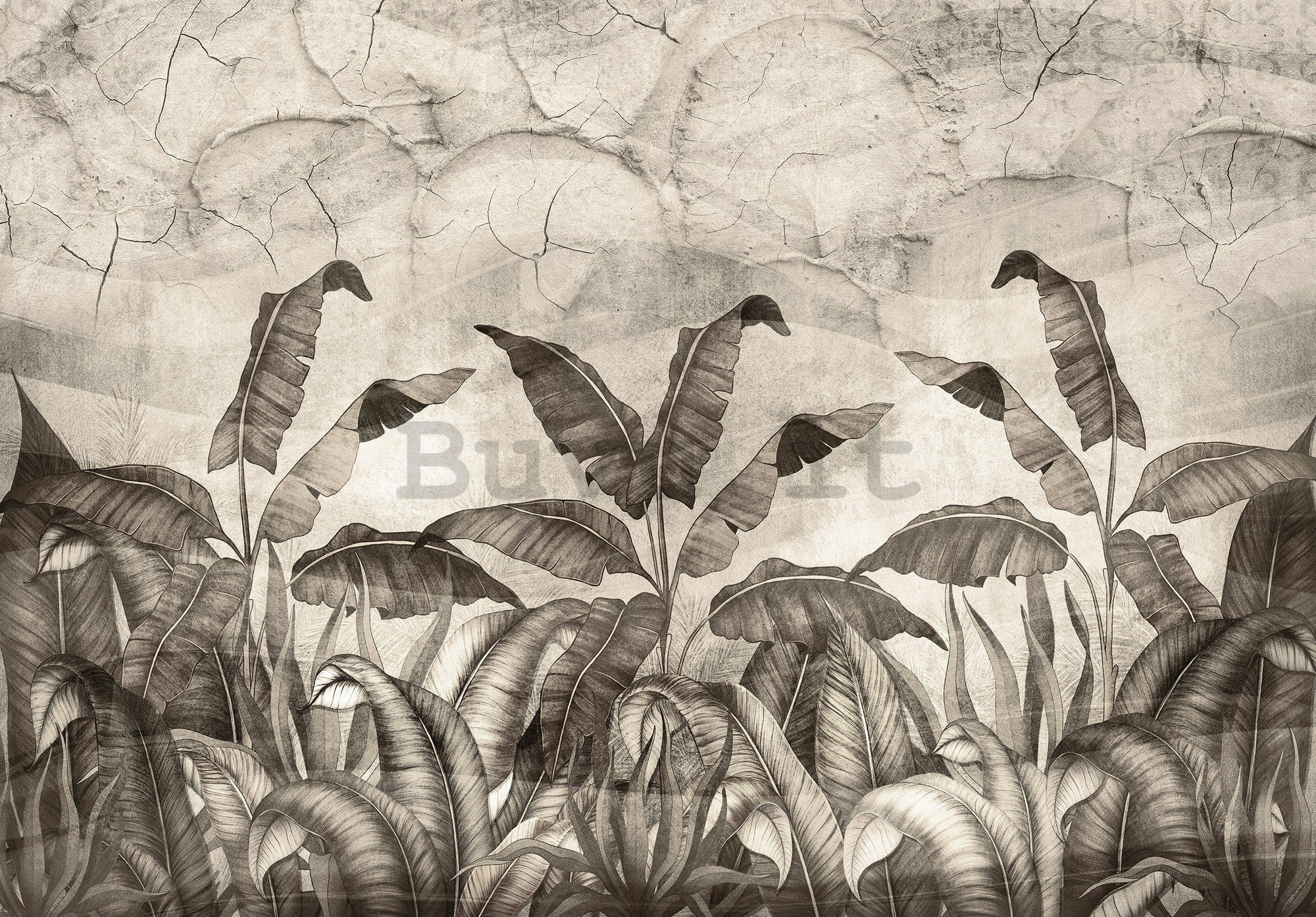 Fotomurale in TNT: Imitazione in bianco e nero di foglie naturali - 368x254 cm