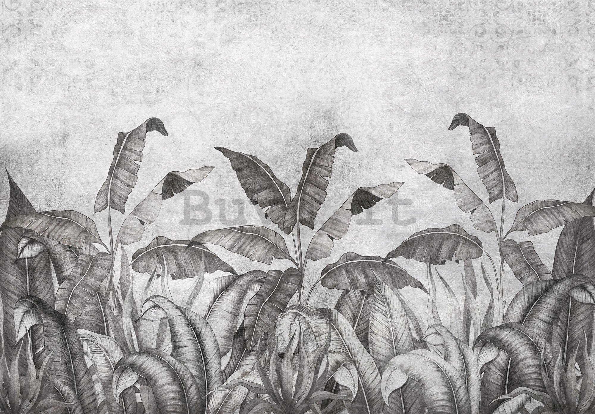 Fotomurale in TNT: Imitazione in bianco e nero di foglie naturali (2) - 368x254 cm