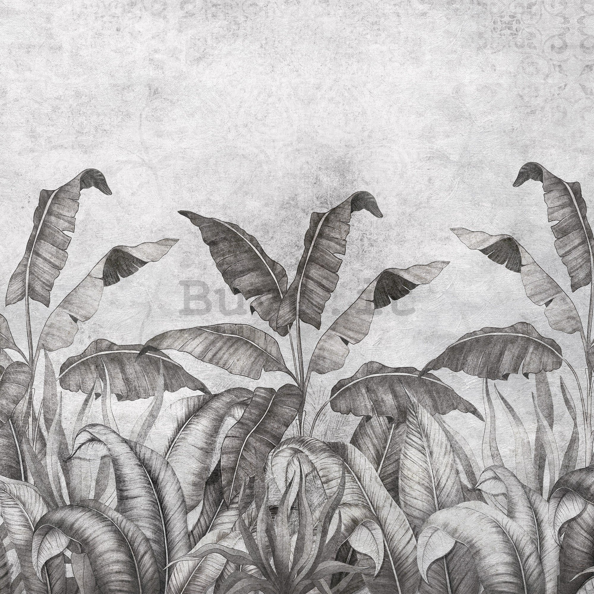 Fotomurale in TNT: Imitazione in bianco e nero di foglie naturali (2) - 416x254 cm