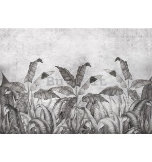 Fotomurale in TNT: Imitazione in bianco e nero di foglie naturali (2) - 416x254 cm
