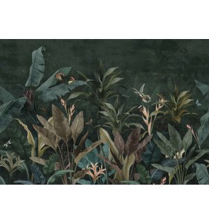 Fotomurale in TNT: Animali della giungla (uccelli e farfalle) - 254x184 cm