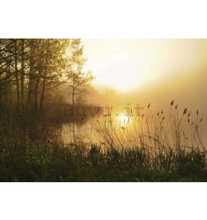 Fotomurale in TNT: Il lago nella nebbia - 254x184 cm
