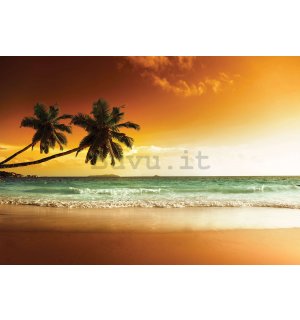 Fotomurale in TNT: Palme e spiaggia al tramonto - 368x254 cm