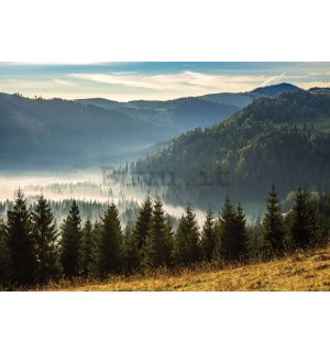 Fotomurale in TNT: Paesaggio della montagna della natura della foresta - 416x254 cm