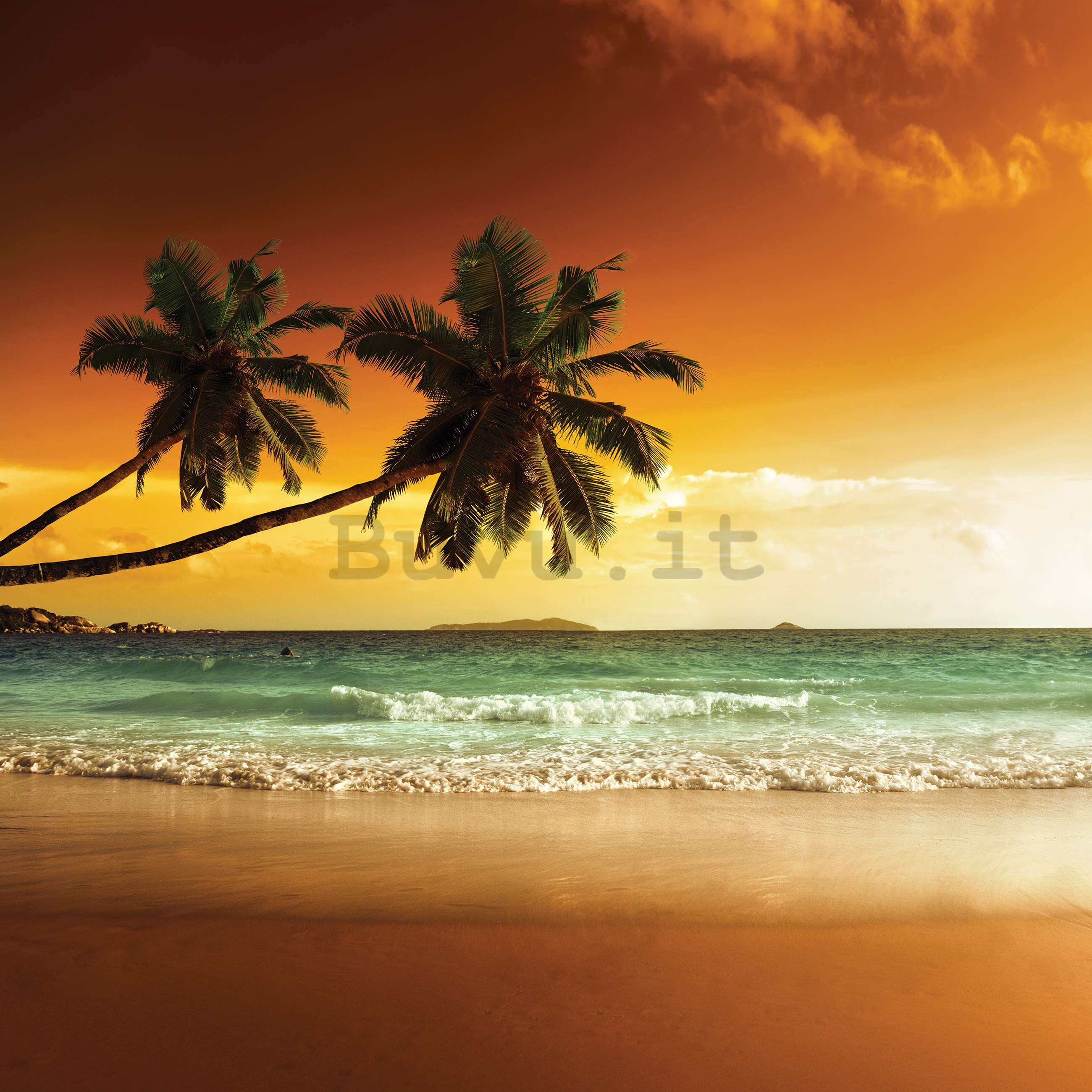 Fotomurale in TNT: Palme e spiaggia al tramonto - 416x254 cm