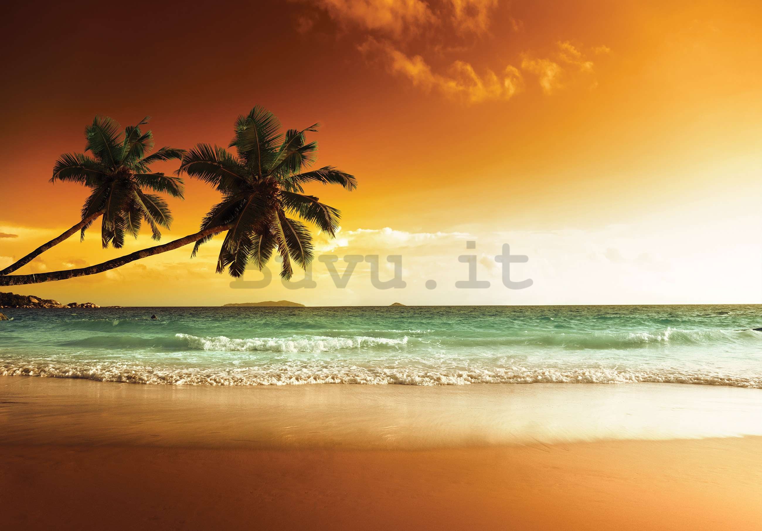 Fotomurale in TNT: Palme e spiaggia al tramonto - 416x254 cm
