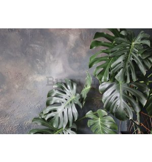 Fotomurale in TNT: Imitazione di foglie (sfondo concreto) - 254x184 cm