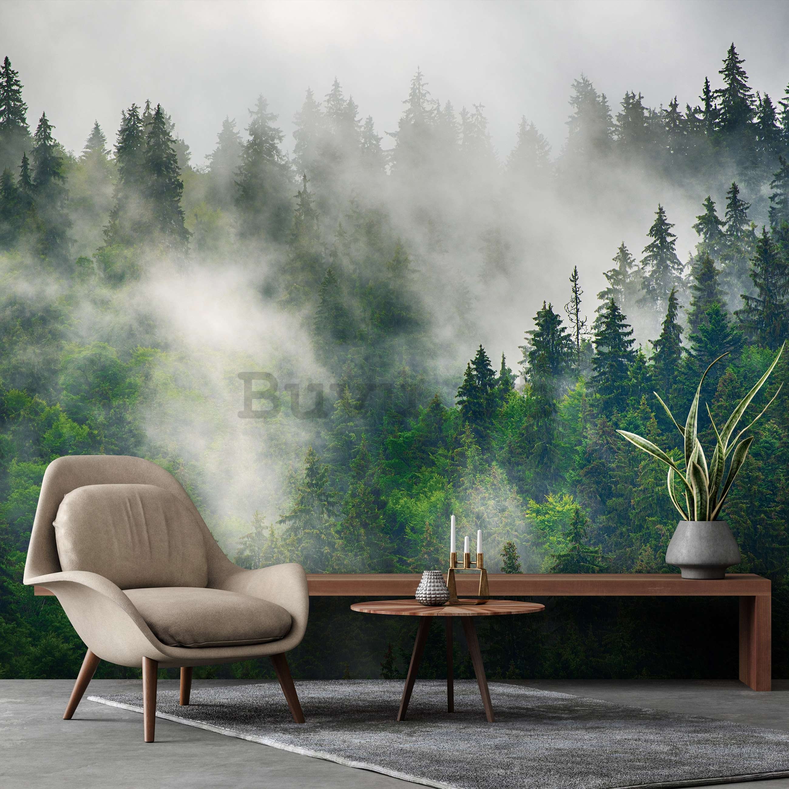 Fotomurale in TNT: Nebbia sulla foresta (5) - 416x254 cm