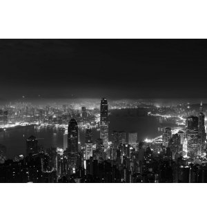 Fotomurale in TNT: Panorama di una grande citta (bianco e nero) - 104x70,5 cm