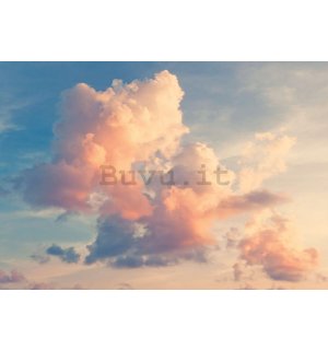 Fotomurale in TNT: Il cielo con arrossisce - 416x254 cm