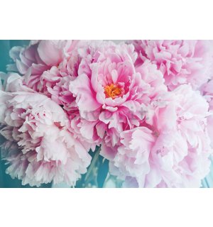 Fotomurale in TNT: Fiore di peonia - 416x254 cm