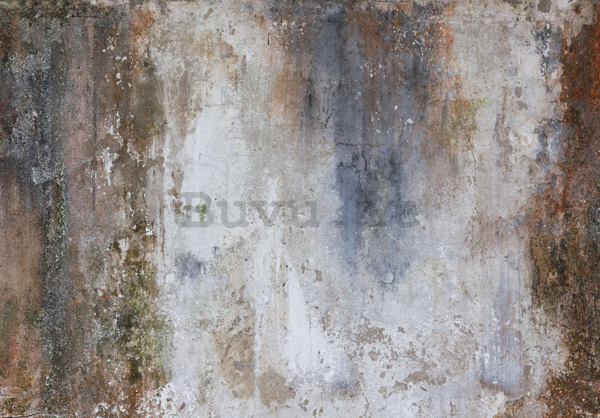 Fotomurale in TNT: Imitazione del vecchio intonaco di cemento - 416x254 cm