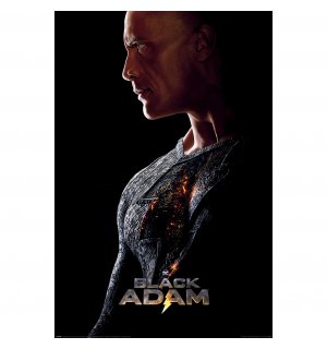 Poster - Black Adam (Held)