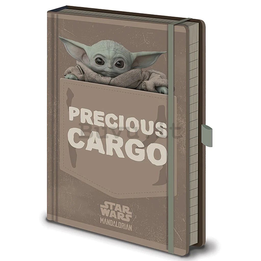 Bloc-notes - Star Wars: The Mandalorian (Precious Cargo)