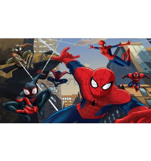 Fotomurale in TNT: Spiderman (2) - 152,5x104cm