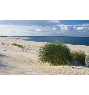 Fotomurale in TNT: Spiaggia sabbiosa (1) - 254x368 cm